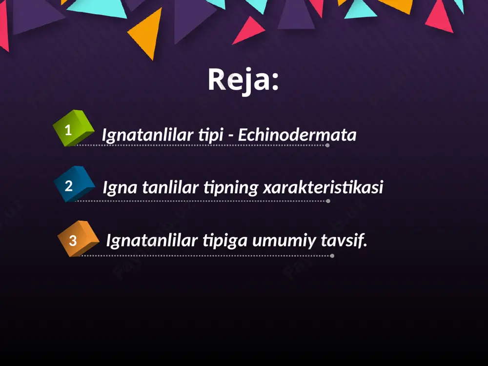 chi simmеtriyali edi. buning isboti erkin suzuvchi ignatanlilarning lichinkalari ikki yonlama simmеtriyalidir. bularga dеngiz yulduzlar, kirpilar, dеngiz ko’zachalari, ilondumlilar, nilufarkarp va boshqalar kiradi. dengiz yulduzining tuzilishi va organlar sistemalari oddiy dengiz yulduzi – turli ochiq dengiz va okeanlarda, janubiy dengizlarda ko‘p tarqalgan. dengizda sohil doirasida rossiyada uzoq sharq va shimoliy dengizlarda tarqalgan. dengiz yulduzi besh nurli yulduz shaklida, turli rangda (qizil, oqish, ko‘kimtir) o‘rtacha 10-25 sm, ba’zilari 50-60 sm kattalikda. u yirtqichlik bilan hayot kechirib dengiz tubidagi turli hayvonlar, ko‘pincha ikki pallali mollyuskalar bilan ovqatlanadi. dengiz yulduzining beshta katta va harakatchan uchi ingichkalashgan o‘simtalari qo‘llar deb atalib, bularning uchida bir nechta kalta paypaslovchi (teri, sezuv organ)lari va ko‘zi joylashgan. har bir oyoqcha muskullar ichki naycha, uning uchi esa yopishuvchi o‘simta bilan qurollangan. oyoqchalar tana bo‘shlig‘ida joylashgan ambulakral sistema bilan tutashgan bo‘lib, mazkur sistemadan kirgan suv bosimi ta’sirida ma’lum yo‘nalishda harakatlanadi. hayvon ma’lum tomonga qarab, shu oyoqchalar yordamida sirg‘anib harakat qiladi. …