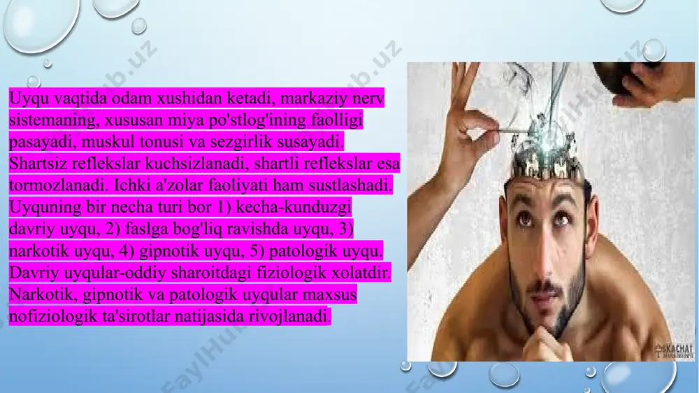 odamga xos. uni odam uy-joy ko'rib, o'zini tunda to'rni xavflardan saqlash imkoniyatiga ega bo'lganidan keyin ottirgan sekin uyqu davrida ba'zi odamlar uyqusirab yurishadiki, bu-somnabuzilizmdir. o'z vaqtida uyqu rivojlanishini tushuntirish uchuy qon aylanishi, gistologik, kimyoviy nazariyalar taqlif qilingan edi. hozirgi kunda bedorlikdan uyqu holatiga o'tishni, uyg'onishni miya po'stlog'i va po'stloq osti tuzilmalari, xususan tursimon (retikulyar) forlitsiya o'rtasidagi o'zaro munosobatlar o'zgarishiga bog'lashadi. miya stvolida asosan uzunchoq miya va voroliy ko'prigida joylashgan tursimon formatsiyani ko'tariluvchi yo'llar, tepalik yadrolari, ular orqali katta yarim sharlar po'stlog'i bilan aloqador qiladi. pastga tushuvchi yo'llar o'z navbatida to'rsimon formatsiyani orqa miya segmentlar bilan bog'laydi. po'stloq to'rsimon formatsiya orqa miya munosobatlari yuqorida ko'tarilgan edi. oxirgi o'n yillarda to'rsimon formatsiyaning ko'prik qismidagi ma'lum neyronlarning elektr faolligi uyqu davrlari almashinuvida o'zgarishi aniqlagan. masalan, uyquning tez davri boshlanishidan avval bu neyronlar impulslari chastotasi bedorlik holatidagiga nisbatan 50-100 marta oshadi. bu o'zgarish eeg da tez uyquning dastlabki belgilari paydo bo'lishidan sal oldin qilinishi …