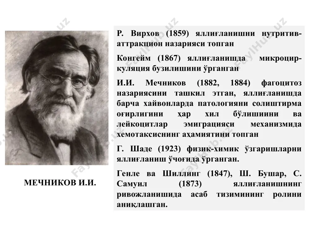 бу фермент бўлишига қараб рgн2: тромбоцитларда – тромбаксан а2 (тх а2), семиз хужайраларда – рg d2, кўпчилик хужайраларда - рgе2 дан рgf2 ҳосил бўлади. лейкотриенлар (lt) лейкоцит ва семиз хужайрадаги арахидон кислотасидан +5 липоксигеназа таъсирида - lt а4 хосил бўлади : - lt в4 - лейкоцитлар учун кучли хемоат-трактантдир. - lt d4 ва lt е4 - лар lt d4 глутатион билан бирикишидан ҳосил бўлади. lt с4, lt d4, lt е4 - ларни умумий номи анафи-лаксиясини секин - жавоб субстанцияси (сжс-а) дейилади. липоксинлар (lx) арахидон кислотаси + 5 - липоксигеназа → липоксин (lx) ҳосил бўлади. lx – яллиғланишга қарши кучли таъсир қилади; томирлар ўтказувчанлигини камайтиради, нейтрофилларнинг хемотаксисини тормоз-лайди, нк ларни цитотоксик хусусиятини пасайтиради. тромбоцитларни активловчи факторлар (таф) активланган гранулоцитлар, моноцитлар, макрофаглар, эндотелиал хужайралар, буйракни мезенгиал хужайралари + фосфолипаза а4 → таф. таф тромбоцитларни активлаб агрегация қилади, томирлар ўтқазувчанлигини оширади. лейкоцитлар учун кучли хемотрактант бўлиб, уларни дегрануляция қилиб, яллиғланишда шиш хосил қилиб, …
