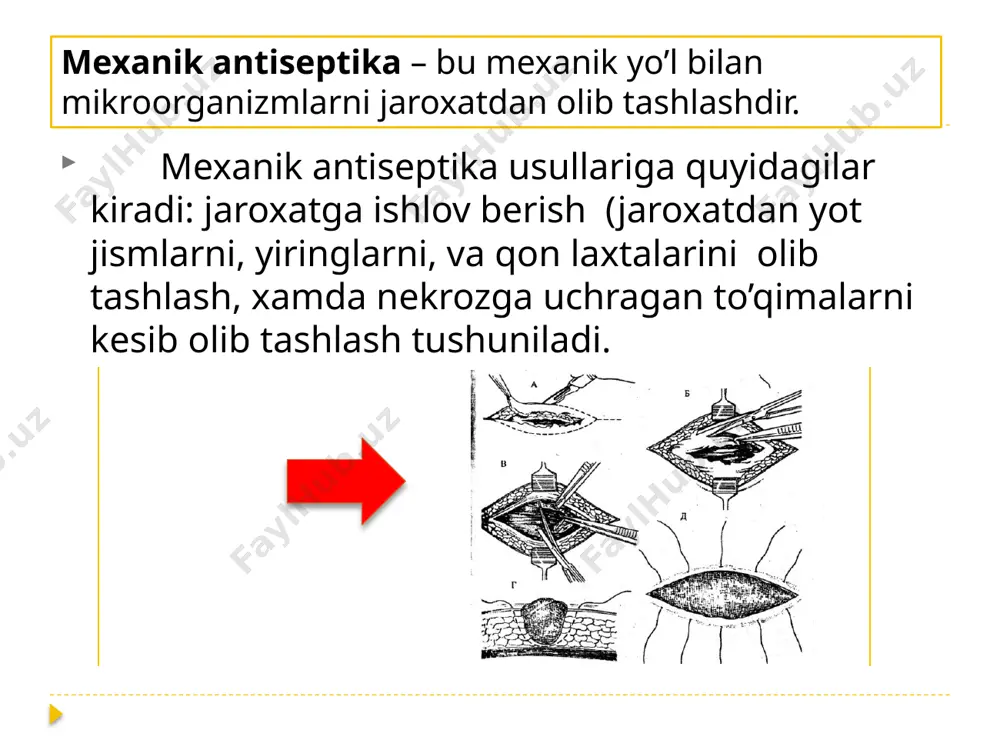 aseptikavaantiseptika - Page 5