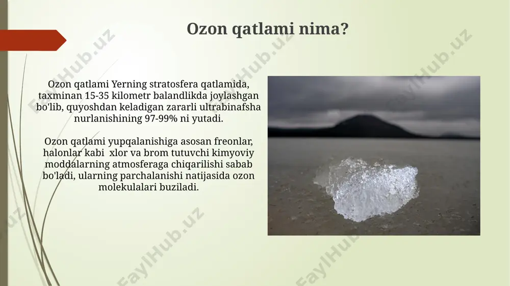 ozon qatlami muammolari - Page 5