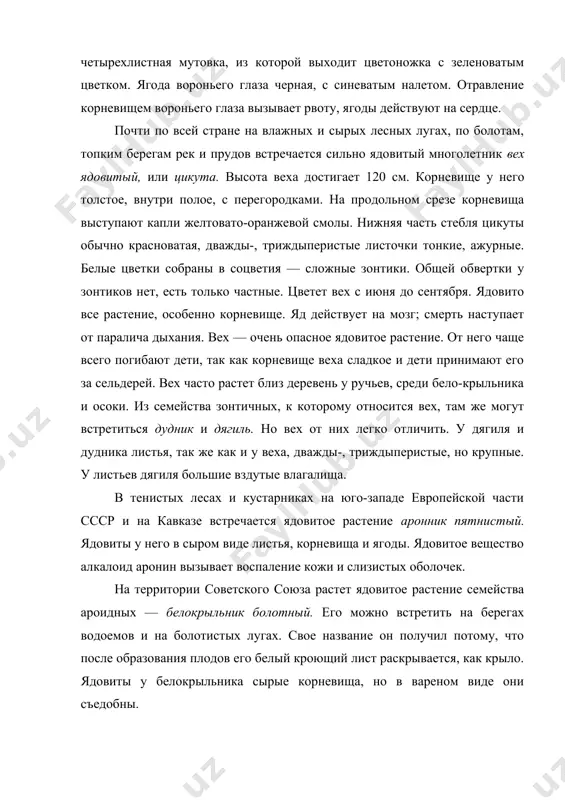 мутовка, из которой выходит цветоножка с зеленоватым цветком. ягода вороньего глаза черная, с синеватым налетом. отравление корневищем вороньего глаза вызывает рвоту, ягоды действуют на сердце. почти по всей стране на влажных и сырых лесных лугах, по болотам, топким берегам рек и прудов встречается сильно ядовитый многолетник вех ядовитый, или цикута. высота веха достигает 120 см. корневище у него толстое, внутри полое, с перегородками. на продольном срезе корневища выступают капли желтовато-оранжевой смолы. нижняя часть стебля цикуты обычно красноватая, дважды-, триждыперистые листочки тонкие, ажурные. белые цветки собраны в соцветия — сложные зонтики. общей обвертки у зонтиков нет, есть только частные. цветет вех с июня до сентября. ядовито все растение, особенно корневище. яд действует на мозг; смерть наступает от паралича дыхания. вех — очень опасное ядовитое растение. от него чаще всего погибают дети, так как корневище веха сладкое и дети принимают его за сельдерей. вех часто растет близ деревень у ручьев, среди бело-крыльника …