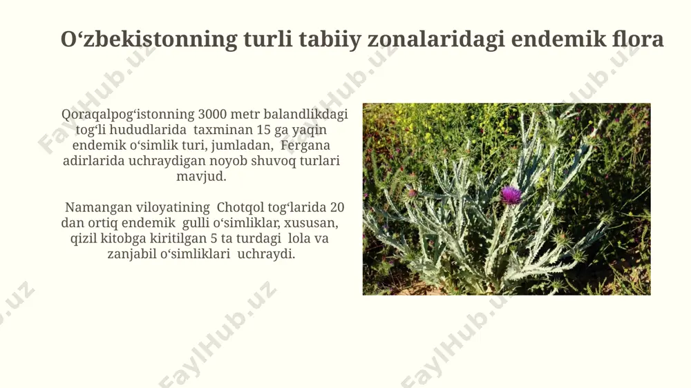 il qilinmoqda. taxminan 100 ga yaqin endemik oʻsimlik turi genetik tahlil va in-vitro koʻpaytirish texnologiyalari yordamida saqlanib qolish uchun toshkent shahridagi maxsus laboratoriyalarda oʻrganilmoqda. noyob va yoʻqolib borayotgan endemik oʻsimlik turlari toshkent viloyatining togʻli hududlarida 10 dan ortiq yoʻqolib borayotgan endemik oʻsimlik turi, masalan, "adenophora" turkumiga mansub noyob qoʻngʻiroqsimon gullar aniqlangan. qoraqalpogʻistonning 50 ga yaqin endemik oʻsimlik turi, jumladan, fergana vodiysida kam uchraydigan “uzbekistania” generasiga mansub noyob gulli oʻsimliklar mavjudligi ma’lum. endemik oʻsimliklarning ekologik ahamiyati taxminan 35% endemik oʻsimlik turlari, ayniqsa, toshkent viloyati togʻli hududlarida, dorivor xususiyatlarga ega boʻlib, an’anaviy tibbiyotda qoʻllaniladi. uzbekistanning 1000 dan ortiq endemik oʻsimlik turi, jumladan, fargʻona vodiysidagi noyob turlar, tuproq eroziyasini oldini olishda muhim rol oʻynaydi. choʻl va dasht zonalarining endemik oʻsimliklari oʻzbekistonning dasht zonalarida, xususan, qoraqalpogʻiston respublikasida 20 dan ortiq endemik shuvoq turlari oʻsadi, ularning koʻpchiligi tuproq eroziyasini oldini olishda muhim ahamiyatga ega. qizilqum choʻlining 150 dan ortiq endemik oʻsimlik turi mavjud boʻlib, ularning …