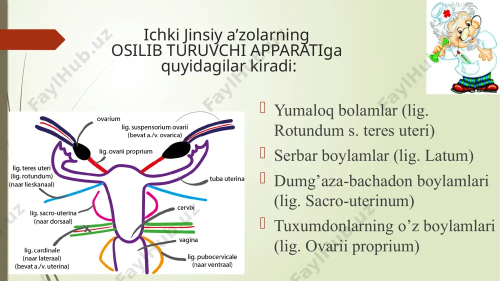 bachodon va tuxumdonlarning boylama prati - Page 4