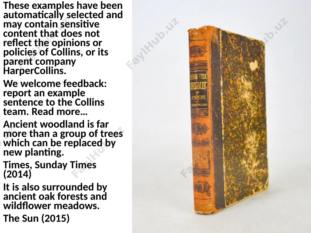 ancient roman german dictionary - Page 4