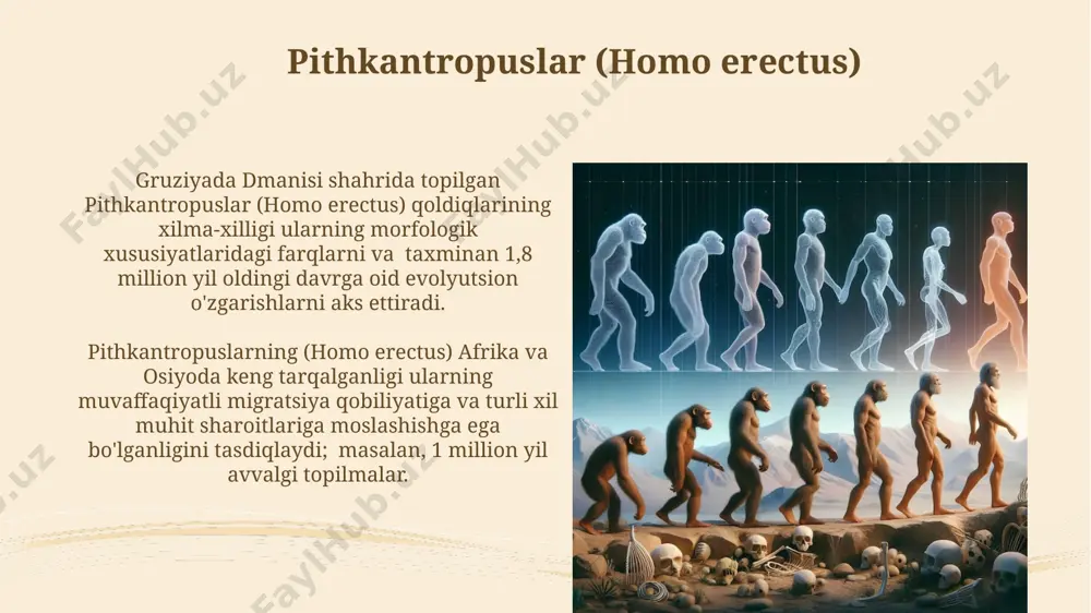 axminan 40 000 yil oldin yevropada neandertallar bilan homo sapiens o'rtasida raqobat kuchaygan, bu esa tabiiy tanlanish orqali homo sapiens ning intellektual va ijtimoiy jihatdan ustun kelishiga olib kelgan. ijtimoiy tuzilmaning shakllanishi taxminan 2 million yil avval, afrikada, erkak va urg'ochi gominoitlarning birgalikdagi yashashi ijtimoiy tuzilmaning boshlang'ich shakllaridan biri bo'lib, oilaviy guruhlarning paydo bo'lishiga olib keldi. miloddan avvalgi 4-ming yillikda, mesopotamiya hududida shahar-davlatlarning paydo bo'lishi, minglab odamlardan iborat murakkab ijtimoiy tizimlarning, qonunlar va boshqaruv tizimlari bilan birga shakllanishiga sabab bo'ldi. antropogenezning genetik asoslari odamning genetik materialida 200 mingdan ortiq gen mavjud boʻlib, ularning aksariyati primatlar bilan umumiydir, afrika qit’asida topilgan eng qadimgi hominid qoldiqlarining genetik tahlili bu haqda dalolat beradi. hominid evolyutsiyasi jarayonida, taxminan 7 million yil avval afrika maydonida, keyinchalik dunyoning boshqa hududlariga tarqalgan, keyinchalik mir-940 genining mutatsiyasi katta miya hajmining rivojlanishiga hissa qo'shgan. neandertallar (homo neanderthalensis) ularning dnk tahlillari zamonaviy odamlar bilan 1-4% genetik o'xshashlikni ko'rsatadi, bu esa …