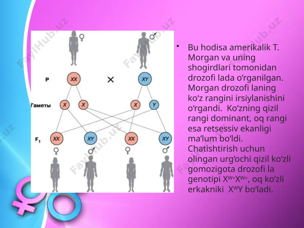 jins bilan bog‘liq holda irsiylanish. 10 - sinf - Page 3