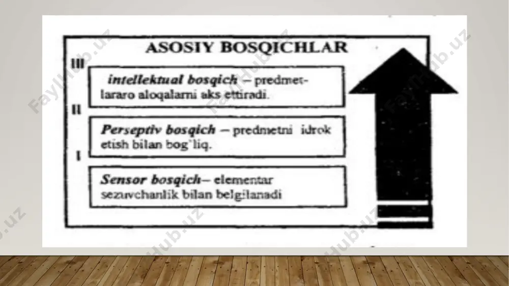 psixika va ongning taraqqiyoti - Page 5