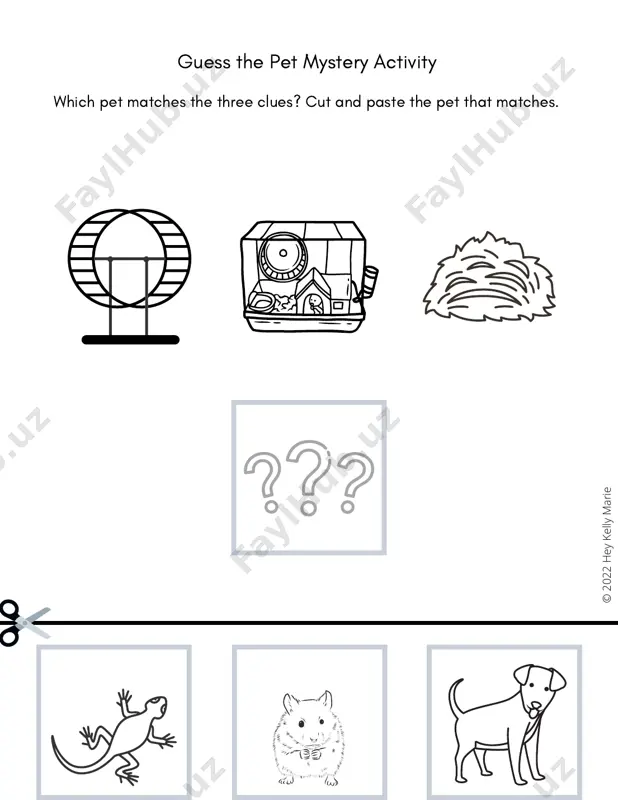guess the pet mystery activity - Page 3