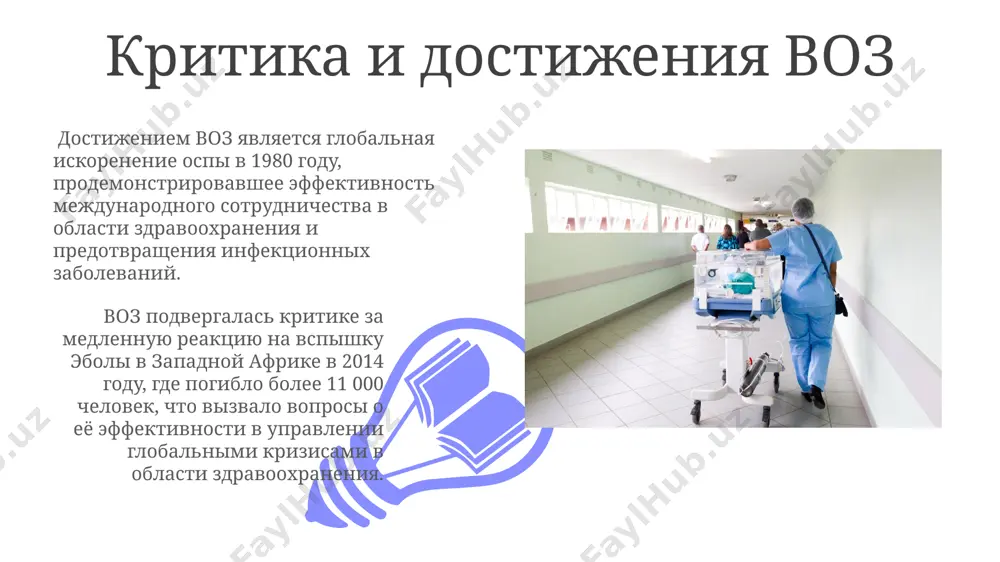 всемирная организация здравоохранения - Page 3