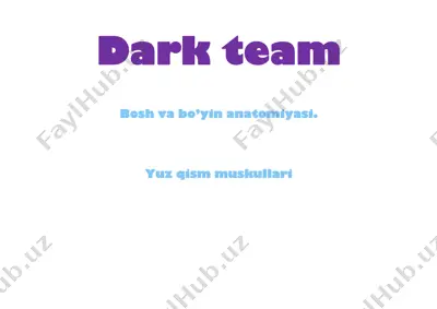 dark team — PDF
