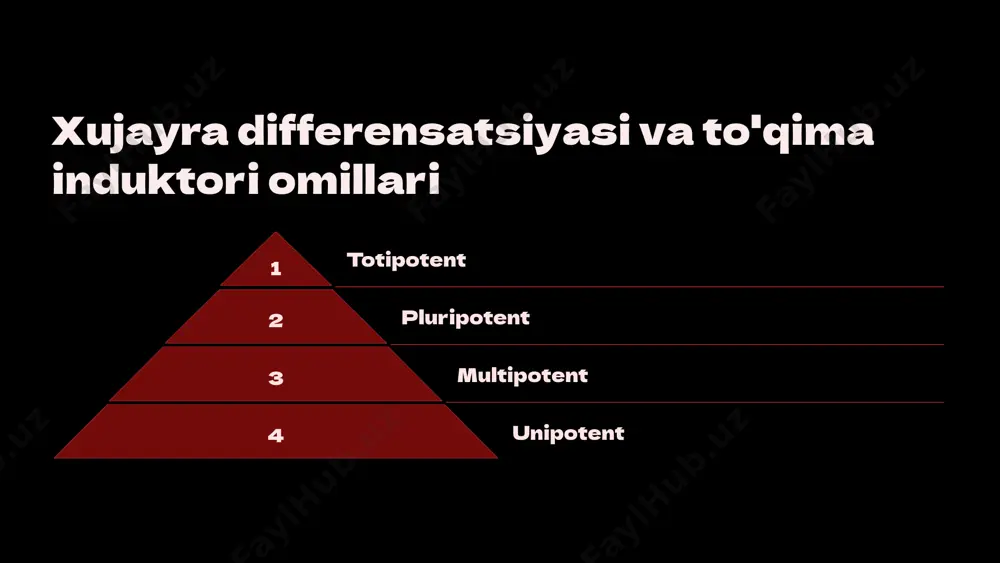 xujayra muxandisligidagi texnologik jarayonlar - Page 5