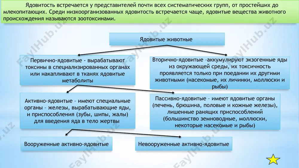 х групп, от простейших до позвоночных. степень ядовитости представителей одного и того же вида может варьировать в зависимости от времени года, характера питания и других факторов. большей токсичностью обладают самки. самцы некоторых видов ядовитых животных вообще не ядовиты. рассмотрим их поподробнее: простейшие среди простейших ядовиты для человека динофлагеллаты (панцирные жгутиконосцы). яд (сакситоксин), относящийся к группе нейротоксинов, накапливается у них в специализированных органеллах типа стрекательных капсул (выделение токсина в воду вызывает так наз. красные приливы). при употреблении в пищу рыб и моллюсков, систематически питавшихся ядовитыми простейшими, могут развиваться острые отравления, характеризующиеся преимущественным поражением периферической нервной системы. кишечнополостные ядовитыми для человека кишечнополостными являются нек-рые виды коралловых полипов (в т. ч. актинии) и медуз. ядовитый секрет выделяют стрекательные клетки щупалец. в состав яда кишечнополостных входят различные органические кислоты, гистамин, серотонин или другие циклические амины и токсины белковой природы. в зависимости от компонентов эти яды могут оказывать местное раздражающее, прижигающее (токсический дерматит), гемолитическое или …