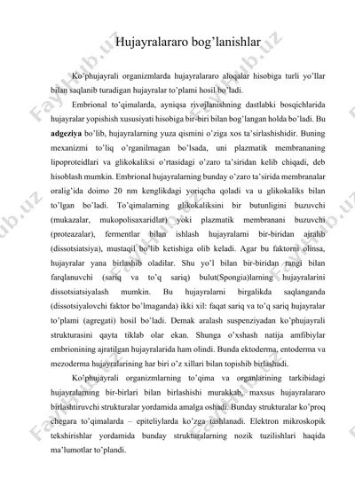 hujayralararo bog’lanishlar — DOCX