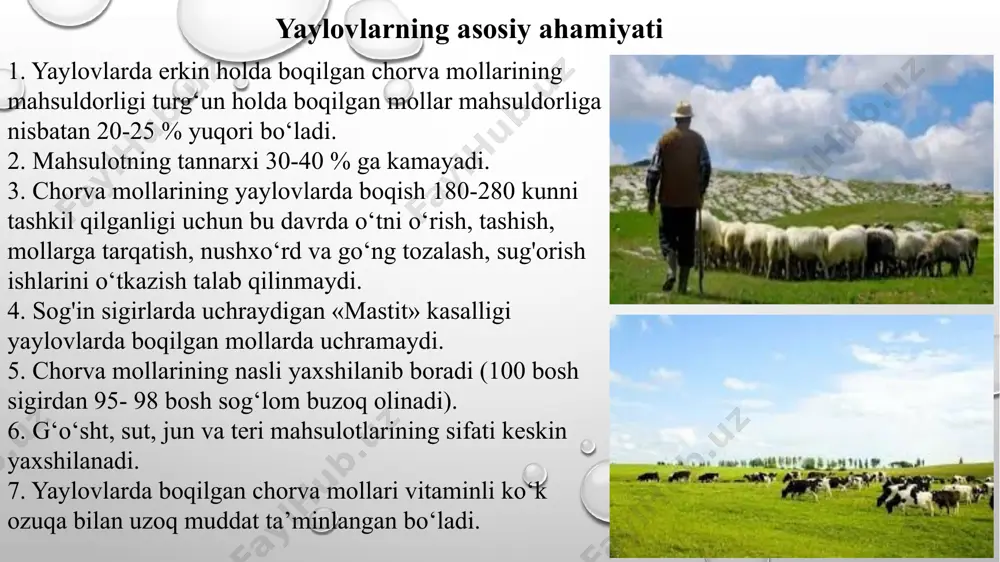 чун озуқа бўлган ўсимликларнинг табиий қопламига эга ерлардир. яйловлар умуммиллий бойлик бўлиб, давлат томонидан муҳофаза қилинади. яйловлар чўлдаги, ярим чўлдаги, тоғ олдидаги, тоғдаги ва текисликдаги, сув билан таъминланган ҳамда сув билан таъминланмаган яйловларга ажратилади. тоғдаги яйловлар мавсумий бўлиб, улардан йилнинг фақат муайян вақтида фойдаланилади. яйловлардан самарали фойдаланишнинг таркибий қисмлари. маълумки, қоракўл зотли қўйлар деярли бутун йил давомида яйловларда боқилади; шу боис яйловларнинг аҳамияти қоракўлчиликда беқиёс саналади. умуман, яйловлар ҳақида гап борар экан, уларнинг аҳамиятига оид бир неча ракамларни келтириб ўтиш ўринли; яйловлардан олинадиган озуқа аксарият ҳолларда юқори тўйимли ҳисобланади. жумладан, ҳар 100 кг яйлов кўкатида 6.5 кг хазм бўладиган протеин ва озуқанинг тўйимлилиги 65 озуқа бирлигидан юқори бўлиб, бу ракамлар яйлов типларига қараб ўзгариб туради. шунингдеқ яйловлар кўкатидаги витаминлар (каротин, с ва бошқалар) миқдори қуруқ хашакка нисбатан камида 10 баробар юқори ҳисобланади. яйловлардан самарали фойдаланиш тизими қуйидаги таркибий элементлардан ташкил топган 1) ўсимлик қопламидан фойдаланишнинг баландлиги, муддати ва кайта боқиш …