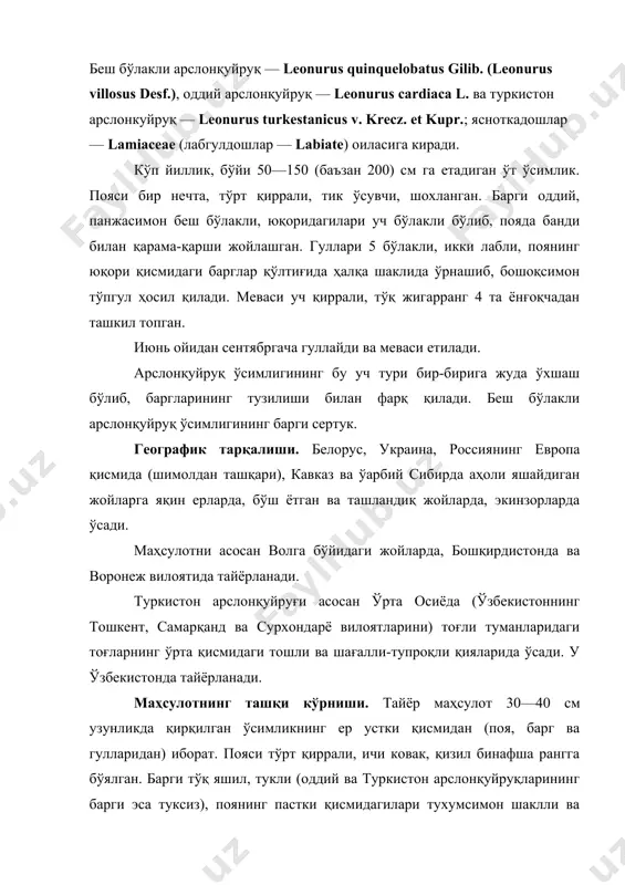 жасимон 5 бўлакка қирқилган, юқори қисмидагиларни эса чўзиқ эллипссимон ёки ланцетсимон, уч бўлакли ёки уч бўлакка қирқилган бўлиб, пояда банди билан қарама-қарши жойлашган. гуллари поянинг юқори қисмидаги барглари қўлтиғида ҳалқа шаклида ўрнашиб, бошоқсимон тўпгул ҳосил қилади. гулкосачаси 5 тишли, найчасимон, қўнғироқсимон, гултожиси икки лабли, пушти ёки пушти-бинафша рангли, оталиги 4 та бўлиб, шундан юқоридаги 2 таси калта, оналик тугуни тўрт бўлакли, юқорига жойлашган. xi дф га кўра маҳсулот намлиги 13%, умумий кули 12%, 10% ли хлорид кислотада эримайдиган кули 6%, сарғайган ва қўнғир рангга айланган барглар 7%, поя бўлакчалари 40%, йўғонлиги 5 мм дан ошиқ бўлган поялар 3%, органик аралашмалар 3% ҳамда минерал аралашмалар 1% дан ошиқ бўлмаслиги керак. бутун маҳсулот учун: тешигининг диаметри 3 мм бўлган элакдан ўтадиган майда бўлаклар 10%, қирқилган маҳсулот учун: 7 мм дан ошиқ бўлган қисмлар 17%, тешигининг диаметри 0,5 мм бўлган элакдан ўтадиган қисмлар 16% дан ошиқ бўлмаслиги лозим. 70% ли спиртда эрувчи экстракт …