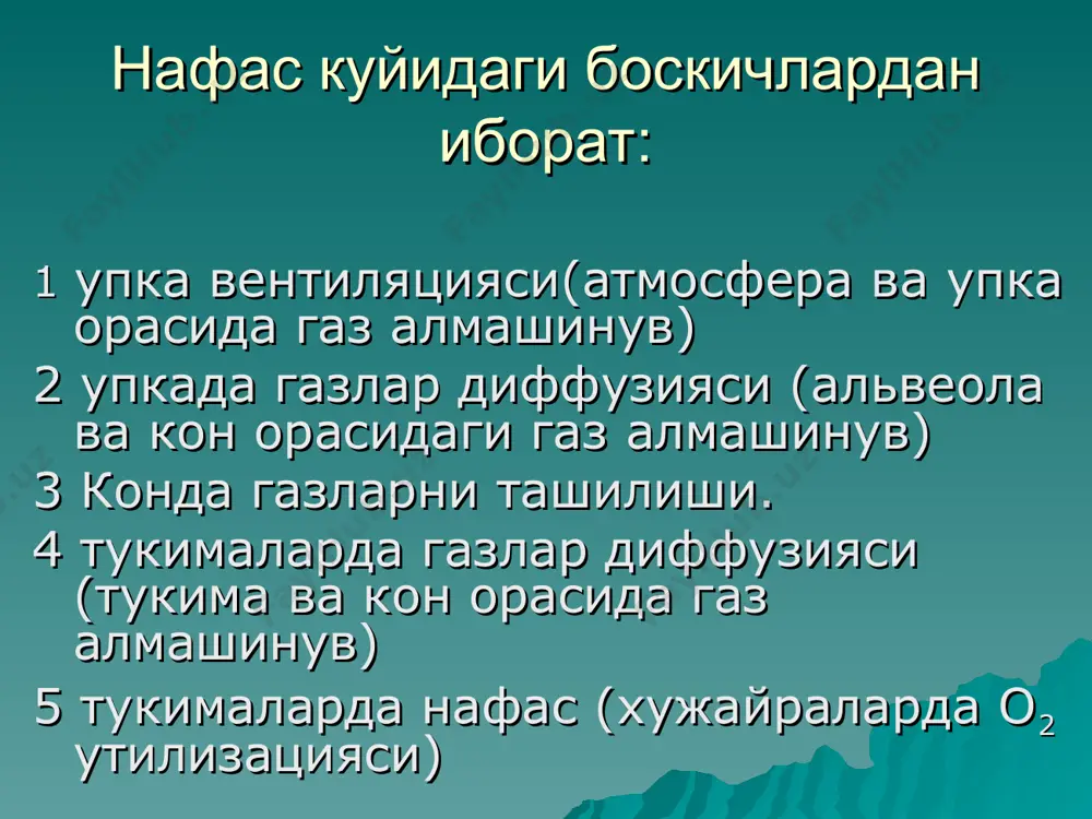 ташқи нафас - Page 4