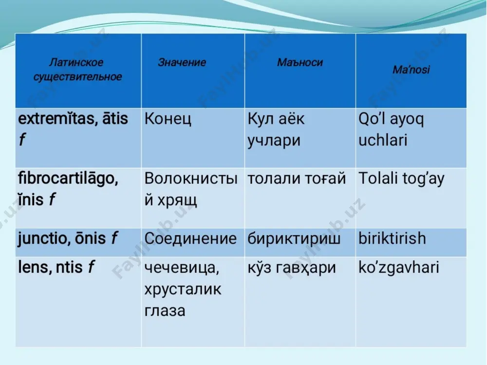 il|-turlanishdagi jenskiy roddagi otlar - Page 5