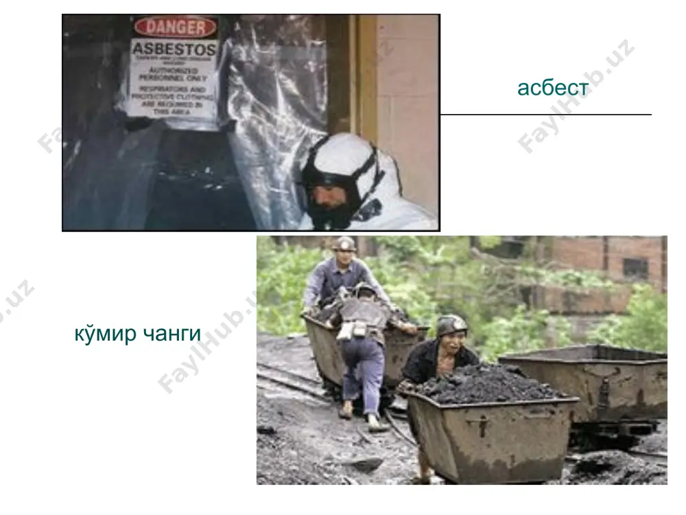 сурункали касбий бронхит билан касallangan bemorlarini tashhislash va davolash - Page 5