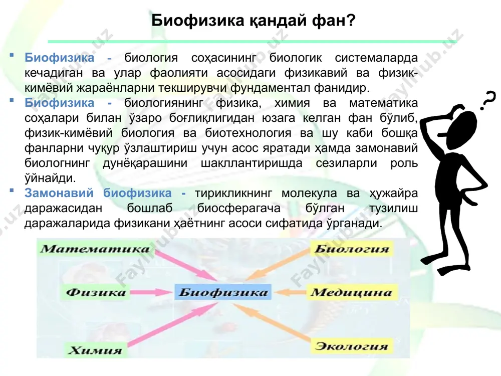 и ҳақидаги умумий ва хусусий қонуниятларни биологик тизимларда физика қонунлари асосида тадқиқ этади. бунда биофизика тирикликнинг энг мураккаб, молекуляр даражада тузилиши доирасида ҳам иш олиб боради. биофизика биофизика кимёвий кинетика, энергия трансформацияси асосида термодинамиканинг биринчи қонуни, биологик тизимлар динамикасини ўрганиш асосида термодинамиканинг иккинчи қонуни каби умумбиологик тушунчаларни таҳлил қилиши билан бир қаторда тирик тизимларнинг молекуляр даражадаги структура тузилишлари ва ушбу тузилиш даражаларида борадиган жараёнларни умумбиологик қонуниятлар билан уйғунлиги каби мураккаб ҳолатларни ҳам ўрганади. биофизика мураккаб биологик тизимлар хусусиятларини ўрганишда математик моделлаш усуллари қўлланилади. биофизика умумий ҳолда биологик тизимларда амалга ошувчи жараёнларни тартибга тушириш ва бошқариш, биополимерларнинг ферментатив катализи, биологик мембраналар орқали моддалар ташилиши, қисқарувчи тизимлар ва қуёш энергиясининг тирик тизимларда боғланиши каби жараёнларини биология соҳаси доирасида физика қонунлари асосида тушунтириб беради. . биологик тизимлар фаолиятидаги турли хил ўзгаришлар тизимдаги макромолекулалар мажмуасидаги конформация ўзгаришлари билан боғлиқ ҳисобланади. бунда ҳарорат, муҳитнинг рн-кўрсаткичи қиймати, моддалар концентрациясининг ўзгаришлари каби омиллар таъсирида тизимда барқарор меъёрий …