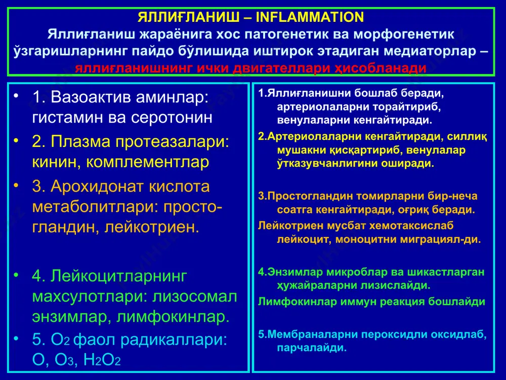 қма реакцияси устун туради ва хар хил касалликка хос гранулемалар пайдо бўлади. 3.некроз келиб чиқади: агар тўқимада альтератив реакция устун бўлса, гранулема шаклланмасдан олдин бирламчи некроз юзага келади. 4.клиник-морфологик жихатдан хилма-хилдир. 5.специфик яллиғланиш сурункали тарзда тўлқинсимон кечади. специфик яллиғланиш турлари сил касаллигида яллиғланиш ўчоғларида 3 хил тўқима реакциялари кузатилади: алтератив (казеоз, колликвацион некроз), экссудатив ва продуктив. улар алохида махсусликка эга бўлиб, сил касаллиги гранулемасини пайдо қилади. гранулема марказида детрит-некроз, атрофида эпителиоид хужайралар халқа кўринишида жойлашади, ундан чеккароқда лимфоцитлар плазмоцитлар, макрофаглер ўрин олади. сил касаллиги гранулемасига хос нарса, бу гигант хужайралар учрашилир, у пирагов-лаганс (муаллифи) хужайраси дейилади. захм касаллигида хар бир шаклида / даврларида/ окиш спирахетага карши тукима реакцияси хам хар хил булади. бирламчи даврда продуктив-инфильтратив, иккиламчи даврда эксудатив реакция терида кузатилиб, окиш спирохетанинг тез таркалишига олиб келади. учламчи даврда / гуммоз куриниш/ продуктив-некротик жараёнлар специфик гуммалар куринишида юзага чикади. махов касаллигида типик шаклида продуктив яллигланиш специфик лепраматоз инфильтратлар ва гранулёмалар …