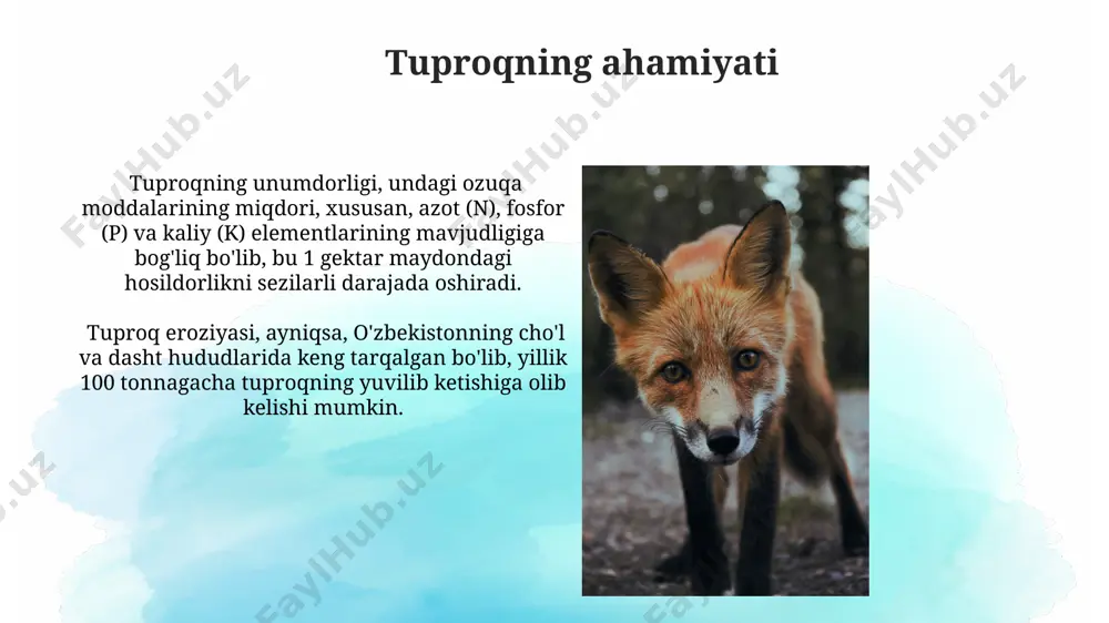 um zarrachalaridan iborat bo'lsa, u qumloq tuproq hisoblanadi va suvni yaxshi o'tkazadi, masalan, qoraqalpog'istonning cho'l hududlarida keng tarqalgan. tuproqning unumdorligi uning tarkibidagi gumus miqdoriga bog'liq bo'lib, 5% dan yuqori gumusli tuproqlar o'ta unumdor hisoblanadi, masalan, farg'ona vodiysidagi unumdor qora tuproqlar. sayyoralar sayyoralar sistemasining 8 ta asosiy sayyorasi quyosh atrofida aylanadi, ularning eng kattasi yupiter bo'lib, diametri yernikidan 11 barobar katta. uran sayyorasi o'z o'qi atrofida 98 daraja burchak ostida aylanadi, bu esa uni "yonboshlab yotgan" sayyora qiladi va uning mavsumlari 42 yer yili davom etadi. hayvonlarning xilma-xilligi afrikaning serengeti tekisliklarida 34 turdagi katta sutemizuvchilar, jumladan, sherlar, filor va gepordlar yashaydi, bu ularning o'zaro munosabatlarining murakkabligini ko'rsatadi. hayvonlar dunyosida 1,5 milliondan ortiq turlar mavjud bo'lib, ularning 70% dan ortig'i hashoratlardir, masalan, amazon o'rmonlarida turli xil hashoratlarning ajoyib xilma-xilligi kuzatiladi. yulduzlar yulduzlarning 88 ta rasmiy yulduz turkumi mavjud bo'lib, ularning har biri o'ziga xos nom va geografik joylashuvga ega, masalan, ursa major …