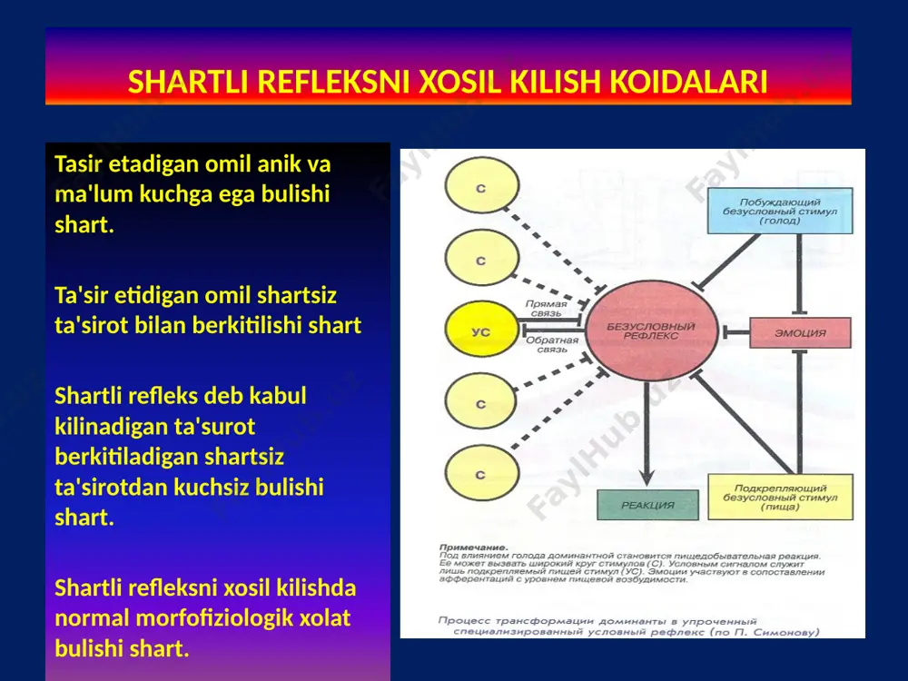 ku ustunlik kilsa kolgan tsikllar tez uykuni tashkil kiladi. tez uykuda organizmda kuchli kuzgalishlar kuzatiladi. (yukt,mpt, not) tush kurish sekin rivojlanadigan uykuning delt uykusida kuzatiladi. gipnoz bu xam uyku bulib - tashki ta'sirot orkali malga oshiriladi (gipnatizior). davriy sutkali uyqu. voyaga etgan odamda uyquning monofazali tipi (sutkasiga bir marta) yoki kamdankam hollarda difazali (sutkasiga ikki marta) tipi kuzatiladi; bolada uyquning polifazali tipi uchraydi. yangi tug'ilgan bolaning sutkalik uyqusi hammasi bo'lib 21 soatgacha boradi; bola olti oylikdan bir yoshigacha sutkada 14 soatcha, 4 yoshida 12 soat, 10 yoshida 10 soat uxlaydi. voyaga etgan kishi bir sutkada o'rta hisob bilan 7-8 soat uxlaydi. keksalik davri yaqinlashgan sayin uyqu birmuncha kamayadi. uzoq vaqt — 3-5 sutka mobaynida tamomila uyqudan qolish tufayli uyquga ehtiyoj tug'iladi, bu uyqu istagini ixtiyoriy ravishda qaytarib bo'lmaydi: faqat og'rituvchi kuchli ta'sirotlar, masalan, igna sanchish yoki elektr tokini ta'sir ettirish yo'li bilangina uyqu kelishiga to'sqinlik qilishi mumkin. odam 60-80 soat …