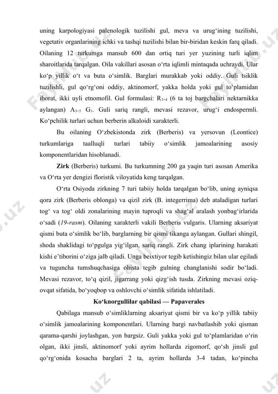 nbag‘irlarida o‘sadi (19-rasm). oilaning xarakterli vakili berberis vulgaris. ularning aksariyat qismi buta o‘simlik bo‘lib, barglarning bir qismi tikanga aylangan. gullari shingil, shoda shaklidagi to‘pgulga yig‘ilgan, sariq rangli. zirk chang iplarining harakati kishi e’tiborini o‘ziga jalb qiladi. unga beixtiyor tegib ketishingiz bilan ular egiladi va tuguncha tumshuqchasiga ohista tegib gulning changlanishi sodir bo‘ladi. mevasi rezavor, to‘q qizil, jigarrang yoki qizg‘ish tusda. zirkning mevasi oziq-ovqat sifatida, bo‘yoqbop va oshlovchi o‘simlik sifatida ishlatiladi. ko‘knorgullilar qabilasi — papaverales qabilaga mansub o‘simliklarning aksariyat qismi bir va ko‘p yillik tabiiy o‘simlik jamoalarining komponentlari. ularning bargi navbatlashib yoki qisman qarama-qarshi joylashgan, yon bargsiz. guli yakka yoki gul to‘plamlaridan o‘rin olgan, ikki jinsli, aktinomorf yoki ayrim hollarda zigomorf, qo‘sh jinsli gul qo‘rg‘onida kosacha barglari 2 ta, ayrim hollarda 3-4 tadan, ko‘pincha o‘simlikning gullash jarayonida to‘kiluvchan, toj barglari 4 ta, ayrim hollarda 6 ta yoki 8-12 tadan, ikki qator davra hosil qilgan holda joylashgan, changchilari cheksiz yoki 6-12 tadan, …