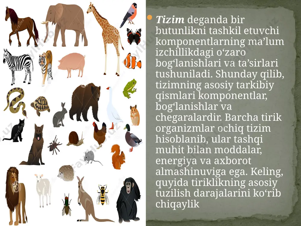 tiriklikning tuzilish darajalari. 9 - sinf - Page 3