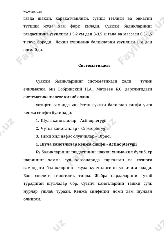 акбурун (polydon spathula) миссисипи дарёсида яшайди, буйи 2 м, огирлиги 75 кг келади. иккинчиси псефур (psephurus gladius) хитойнинг янци дарёсида яшайди ва буйи 7 м гача етади. осётрсимонлар асосан шимолий шарда таркалган булиб, куп турлари кимматбахо ва сифатли гушт хамда кора икра беради. суякли ганоидлар катта туркуми – holostei бу баликлар анча содда тузилган булиб, мезозой эрасида кенг таркалган. ичагида спирал клапан, юрагида артериал конус булади. устки энгса суяги ривожланмаган. хозирги даврда яшаётган суякли ганоидлар катта туркуми кайманлар, яъни панцирли чуртонлар (lepidosteoidei) ва амиялар (amioidei) туркумларига булинади. улар шимолий американинг чучук сувларида таркалган. 1. кайман баликлар туркуми - lepidosteoidei бу туркумга 6-7 турни уз ичига олган кайман баликлар ёки панцирли чуртан уруги (lepidosteus) киради (35-расм). буларнинг умуртка танаси олдинги томондан буртиб чиккан, орка томондан ботиб кирган, яъни опистоцел типда булади. унинг териси ромб шаклидаги ганоид тангачалардан иборат панцир билан копланган. баъзиларининг буйи 3-4 м га, массаси 150 кг га етади. …