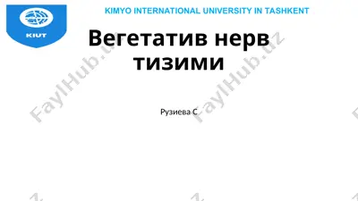 вегетатив нерв тизими — PPT