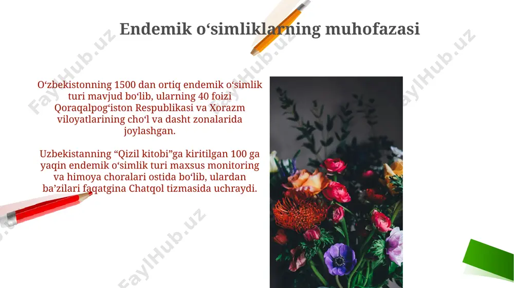 o‘zbekiston florasi endemalari - Page 3