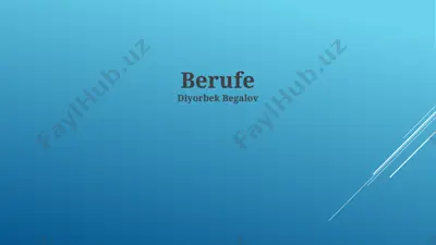 berufe — PPTX