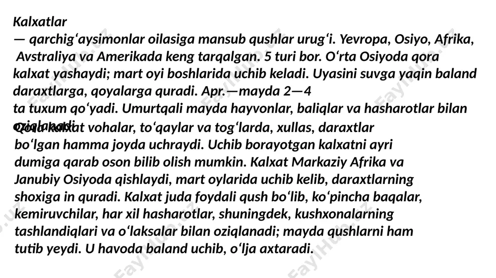 kunduzgi yirtqich qushlar - Page 5