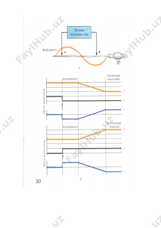 таьсирлаш қонунлари - Page 2