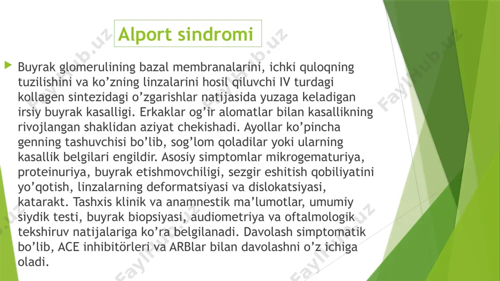 xromosomasida qolgan normal gen funktsional kollagen ishlab chiqarishni qoplaydi; avtosomal retsessiv. c0l4a3 va col4a4 genlaridagi mutatsiyalar asosida rivojlanadi. ular ikkinchi xromosomada lokalizatsiya qilingan va kollagenning a3 va a4 zanjirlarining tuzilishi uchun javobgardir. sindromning ushbu varianti bo’lgan bemorlar bemorlarning taxminan 15% ni tashkil qiladi. semptomlarning og’irligi jinsga bog’liq emas. o’z tabiatiga ko’ra, sindrom heterojen irsiy kasallikdir – uning rivojlanishi iv turdagi kollagenning turli zanjirlarining tuzilishini kodlaydigan genlardagi nuqson bilan qo’zg’atiladi. genetik o’zgarishlarga deletsiya, splicing, noto’g’ri va bema’ni mutatsiyalar kiradi. ularning joylashuvi kasallikning meros turini aniqlaydi: sabablari avtosomal dominant. nefrit 2-xromosomada joylashgan col4a3-cola4 genlaridagi mutatsiyalar natijasida yuzaga keladi. kasallikning autosomal retsessiv shaklida bo’lgani kabi, 4-toifa kollagenning a4 va a3 zanjirlarining sintezi buziladi. tarqalishi – genetik nefritning barcha holatlarining 1% ni tashkil qiladi. patogenez glomerulyar bazal membrana murakkab tuzilishga ega, u 4-turdagi kollagen molekulalari va polisaxarid komponentlarining qat’iy geometrik ketma-ketligidan hosil bo’ladi. alport sindromida spiral kollagen molekulalarining nuqsonli tuzilishiga olib keladigan mutatsiyalar mavjud. …