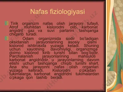 nafas fiziologiyasi — PPT