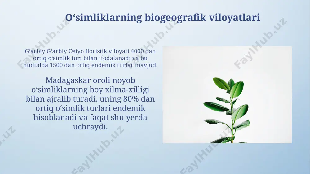 o'simliklar geografiyasi asoslari - Page 5