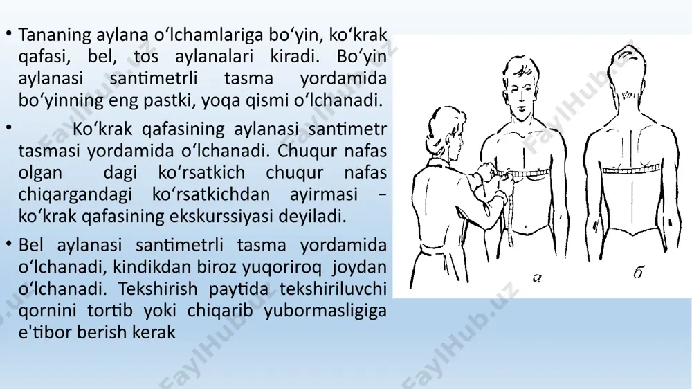antropometriya - Page 5
