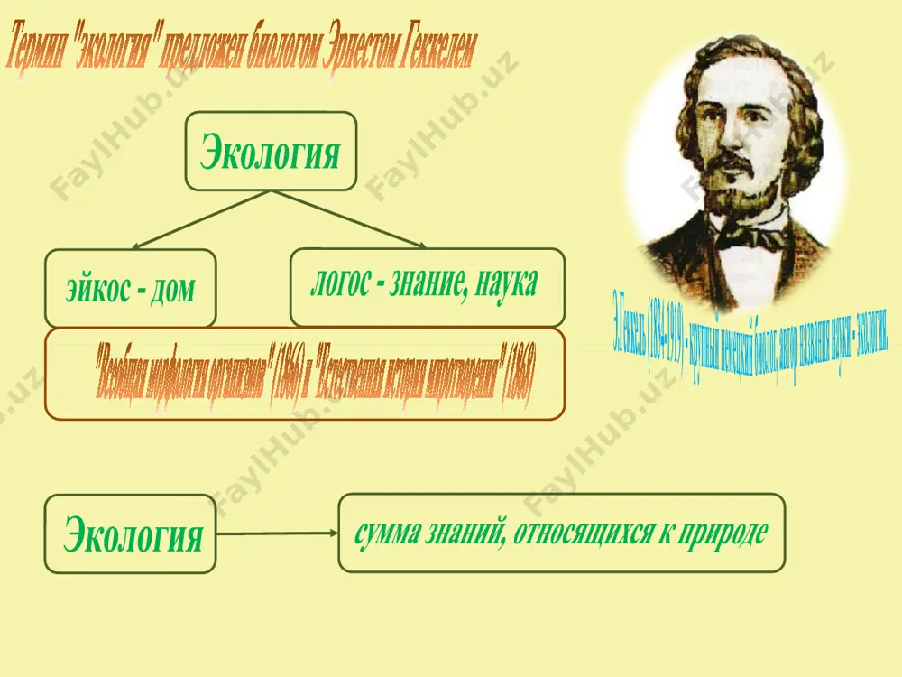 ekologiya i ekologicheskaya bezopasnost - Page 3