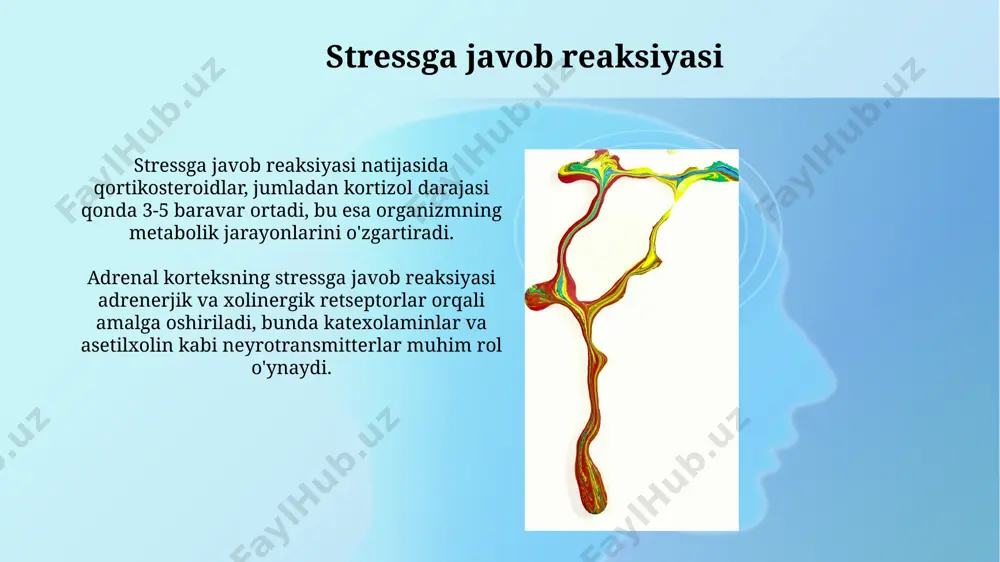 qoramol buyrak usti pardasini hususiyatlari - Page 5