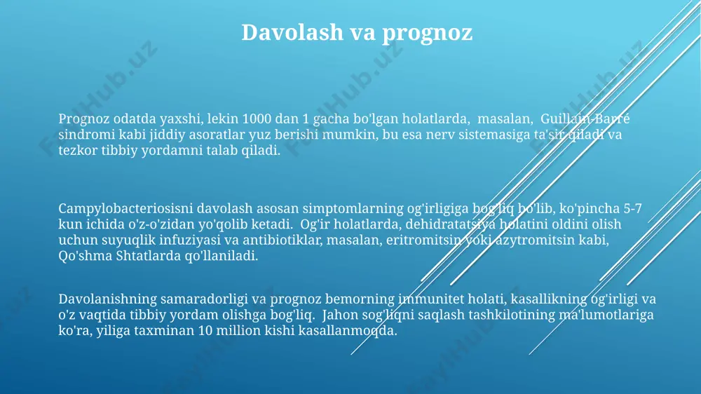kampilobakterioz - Page 3