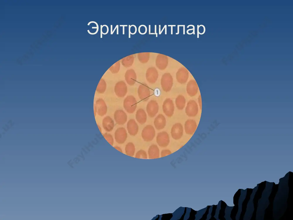 цитология - Page 5