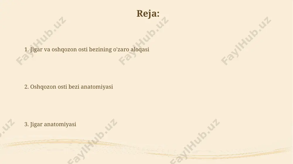 jigar va me'da osti bezi anatomiyasi - Page 2