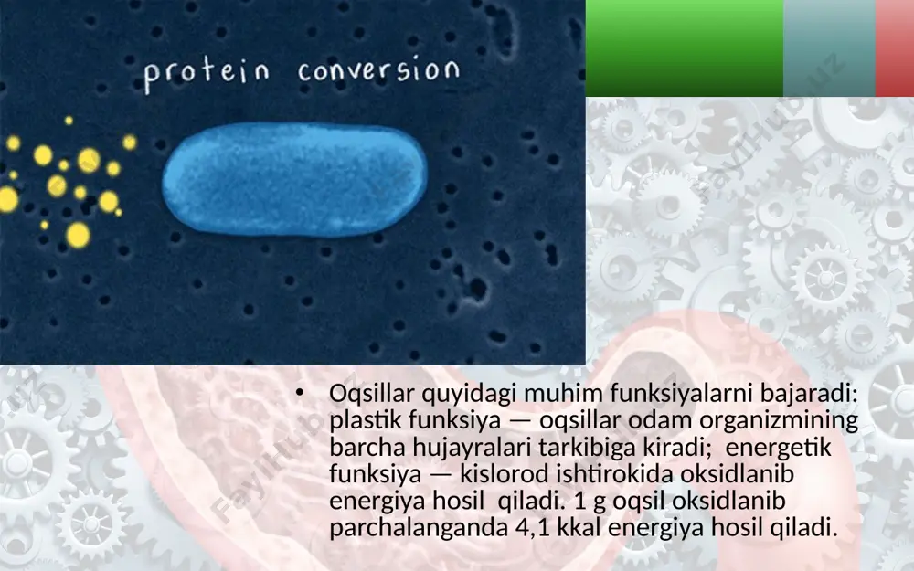 moddalar va energiya almashinuvi haqida umumiy tushuncha. 8 - sinf - Page 5