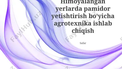 pomidor yetishtirish uchun agrotexnika ishlab chiqish — PPTX