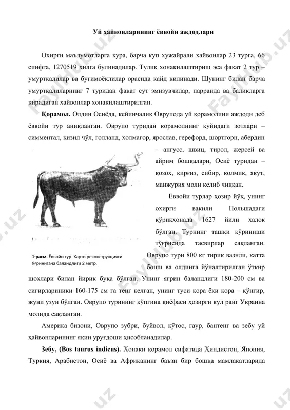 ги одатдаги яшаш шароити ҳисобланади. қўтослар сут, гўшт беради, иш ва уловга қўшилиб фойдаланилади. урғочи қўтослардан соғим даврида 6,5 -7,5% ёғли 400-420 кг га яқин сут соғиб олинади. улар 6 ойга яқин соғилади. уларнинг бўғозлик даври 255-256 кун давом этади. кўкламда болалайди. гўшти сифатли, мазали, сўйим чиқими 48-50%. жуфтланиш фасли - сентябр ойи. қорамол билан чатиштиришдан олинган дурагай қўтосларнинг урғочилари пуштли, эркаклари эса – пуштсиз бўлади. дурагай сигирлар 5,0% ёғли 900-1000 кг сут берадилар. гўшти мазали, сўйим чиқими 56-62% гача. буйвол (bos bubalus), ҳозирги вақтда буйволларнинг ёввойи ва хонакилаштирилган турлари бор. уларнинг ёввойи тури ҳиндистон ва малай архипелагида сақланиб қолган. буйволларнинг икки гурухи мавжуд - осиё ва африка турлари. осиё буйволларининг энг тарқалган тури – арна, миндор (филлипинда), ва аноа (целебесда),. улардан миндор тури хонакилаштирилган. осиё буйволлари ботқоқлик туманларда яшайди. хонакилашган буйволлар жуда ювош ҳайвон, иссиқ, намли жойларда урчишга мослашган. озуқа танламайди. кўпинча кечаси ва сахарда ўтлайди. улар кузда жуфтлашади, …