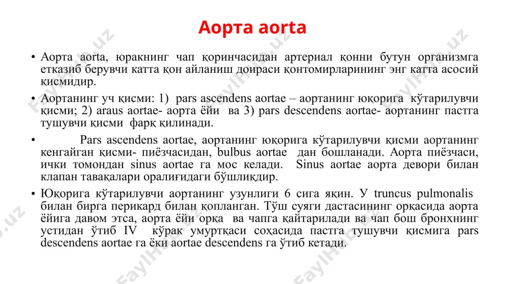 munis dextra et sinistra га bifurcatio aortae ни ҳосил қилиб бўлинади ва кичик чаноқ бўшлиғига a. sacralis mediana ни беради. юқрига кўарилувчи аорта ёки аортанинг юқорига кўтарилувчи қисмининг тармоқлари. организмда аъзоларга қонтомирлар энг қисқа масофадан боради деган қонунга асосан, аортага энг яқин аъзо юракдир. аортадан юракка кетувчи биринчи қонтомирлар сифатида юракнинг чап ва ўнг томон артериялари ҳисобланади. (улар тўғрисидаги маълумотлар юрак мавзусида баён этилди). аорта ва унинг равоғи аорта ёйининг тармоқлари аорта ёйининг ботиқ, юзасидан бронхларга, айрисимон безга, қизилўнгачга тармоқлар чиқса, бўртиқ юзасидан учун йирик тармоқ чиқади. уларни ўнгдан чапга қараб санаганда қуйдагича жойлашади: truncus brachiocephalicus, a. carotis communis simistra ва a. subclavia sinistra. елка бош пояси (стволи) елка бош пояси (стволи) truncus brachiocephalicus, узунлиги 3-4 см келади. у юқорига, орқа ва унга қийшиқ йўналади. кекирдакнинг олд юзасида жойлашиб, қалқонсимон безга a. thyroidea ima ни беради ва ўнг тўш ўмров бўғими соҳасида ўзининг охирги тармоқларига: ўнг умумий уйқу ва ўнг …