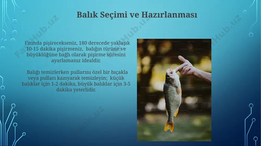 balıklar ve onların faydaları - Page 4
