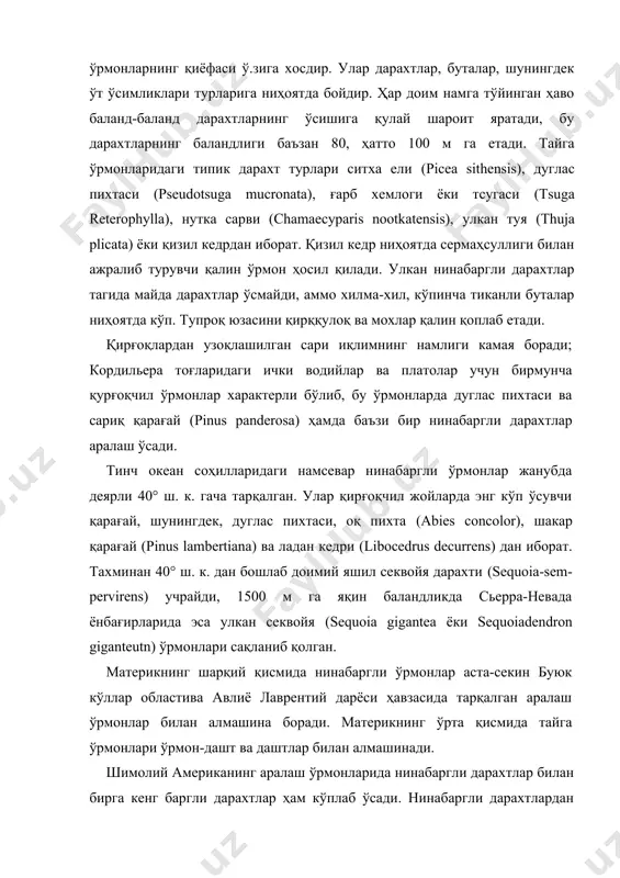 ига қулай шароит яратади, бу дарахтларнинг баландлиги баъзан 80, ҳатто 100 м га етади. тайга ўрмонларидаги типик дарахт турлари ситха ели (picea sithensis), дуглас пихтаси (pseudotsuga mucronata), ғарб хемлоги ёки тсугаси (tsuga reterophylla), нутка сарви (chamaecyparis nootkatensis), улкан туя (thuja plicata) ёки қизил кедрдан иборат. қизил кедр ниҳоятда сермаҳсуллиги билан ажралиб турувчи қалин ўрмон ҳосил қилади. улкан нинабаргли дарахтлар тагида майда дарахтлар ўсмайди, аммо хилма-хил, кўпинча тиканли буталар ниҳоятда кўп. тупроқ юзасини қирққулоқ ва мохлар қалин қоплаб етади. қирғоқлардан узоқлашилган сари иқлимнинг намлиги камая боради; кордильера тоғларидаги ички водийлар ва платолар учун бирмунча қурғоқчил ўрмонлар характерли бўлиб, бу ўрмонларда дуглас пихтаси ва сариқ қарағай (pinus panderosa) ҳамда баъзи бир нинабаргли дарахтлар аралаш ўсади. тинч океан соҳилларидаги намсевар нинабаргли ўрмонлар жанубда деярли 40° ш. к. гача тарқалган. улар қирғоқчил жойларда энг кўп ўсувчи қарағай, шунингдек, дуглас пихтаси, оқ пихта (abies concolor), шакар қарағай (pinus lambertiana) ва ладан кедри (libocedrus decurrens) дан …